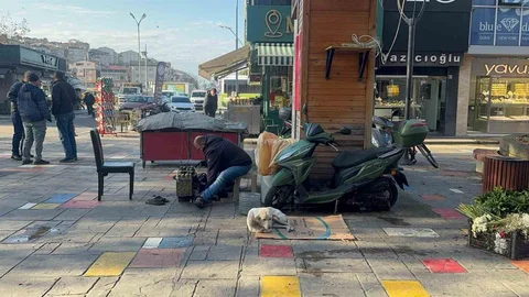 Engelli Köpeğe Şefkat Dolu Bakım