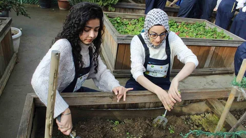 Zeytinburnu'nda Engelliler İçin Fide Etkinliği