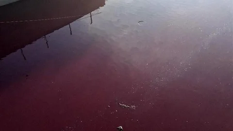 Esenyurt’ta Dere Kırmızıya Dönüştü