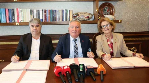 Denizli'de Sokak Hayvanları İçin Yeni Proje