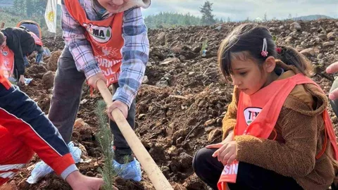 Muğla'da 20 Bin Fidan Dikilecek