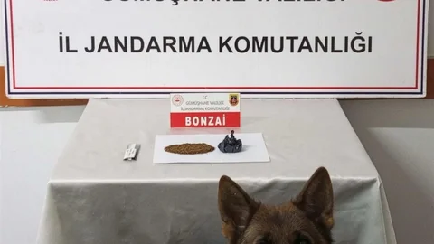 Gümüşhane'de Uyuşturucu Operasyonu Düzenlendi