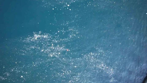 Balat'ta Balıkçıların Deniz Kirliliği Şikayeti