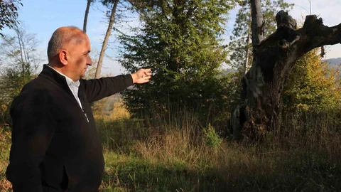 Kocaali'de Tarihi Mezarlık Tahrip Oldu