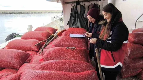 Kastamonu'da Beyaz Kum Midyesi Denetimi Yapıldı