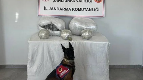 Şanlıurfa'da Uyuşturucu Operasyonu