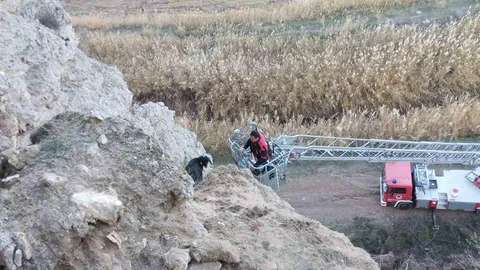 Çorum'da Uçurumda Mahsur Kalan Keçiler Kurtarıldı