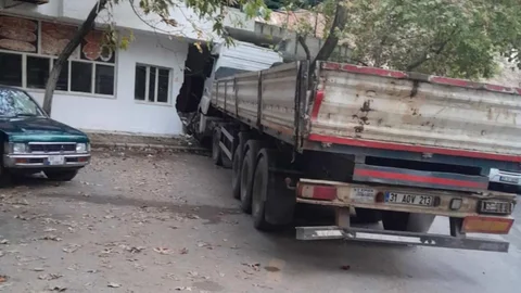 Erdemli’de Freni Boşalan TIR Felakete Yol Açtı: 5 Hayvan Telef Oldu, Fırına Çarparak Durabildi!