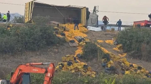 Otoyol Çeşmeli Çıkışında Kaza: Narenciye Yüklü Kamyon Devrildi, Yol Narenciye Bahçesine Döndü
