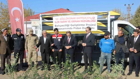 Şırnak'ta Çiftçilere Zeytin Fidanı Dağıtıldı