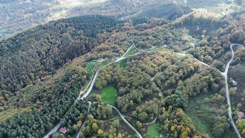 Düzce Ormanlarında Sonbahar Renkleri