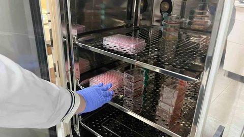 Parkinson Araştırmaları Antalya'da Yapılıyor