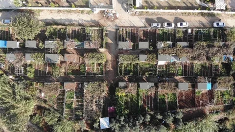 Kanser Hastaları ve Kronik Rahatsızların Nefes Alanı Tehlikede: Mezitli Hobi Bahçeleri Yıkılacak Mı?"