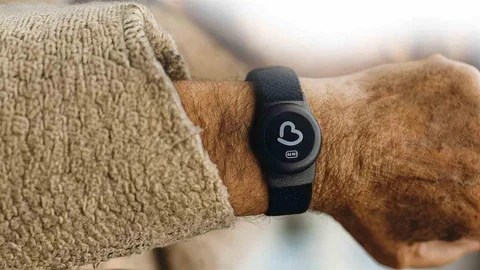 Balıkesir'de Akıllı Takip Cihazı Desteği