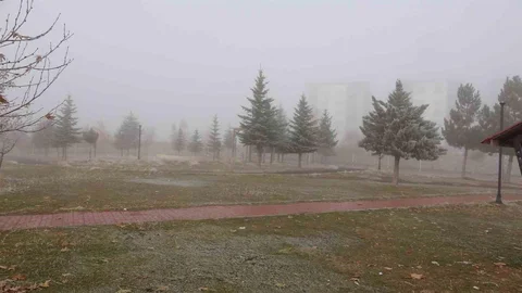 Bitlis'te Sis Ulaşımı Zora Soktu