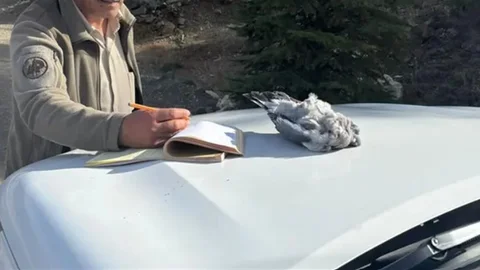 Burdur'da Kaçak Avcılara Ceza Kesildi