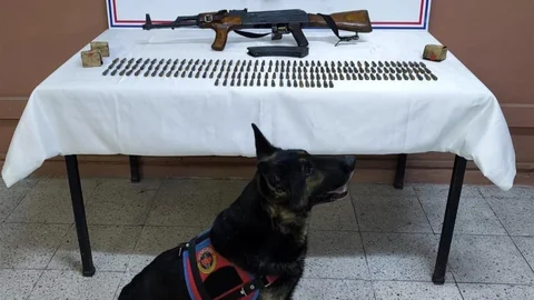 Iğdır'da Silah Kaçakçılığı Operasyonu