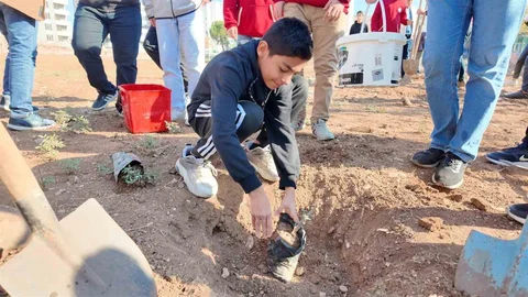 Şanlıurfa’da "Yeşeren Okullar Projesi" ile fidanlar toprakla buluştu