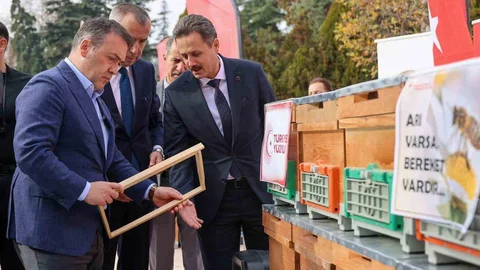 Bilecik’te bu yıl 126 bin 524 kilogram bal üretildi