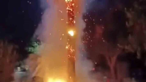 Mardin'de Palmiye Ağacı Yangını