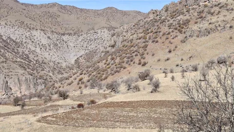 Bestler Dereler Bölgesine Yol Açıldı