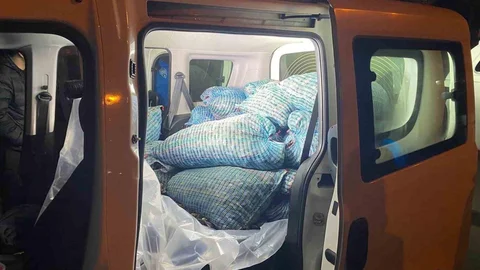 Samsun'da Kaçak Midye Operasyonu