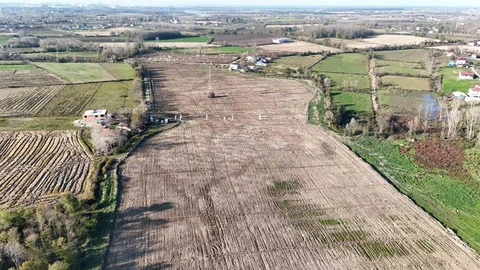 Karadeniz'in En Büyük İncir Projesi Samsun'da