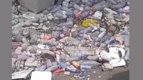 Tarsus Cetvel Irmağı Kenarında Büyük Fareler Ortaya Çıktı!