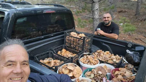 Çameli'de Cintar Bereketi Yaşanıyor