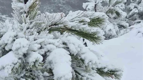 Muğla'da Mevsimin İlk Karı Yağdı