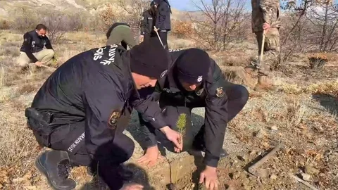 Erzincan'da 600 Fidan Dikildi