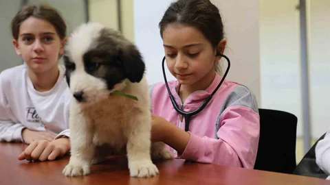Bursa'da Minik Veterinerler Görevde