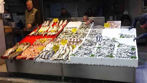 Karadeniz'de Hamsi Bereketi Devam Ediyor