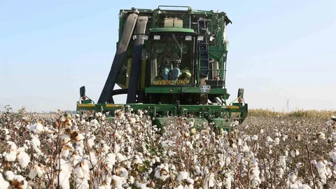 Aydın'da ÇKS Başvuru Hatırlatması