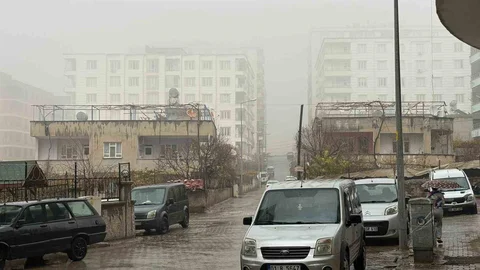 Siirt'te Sağanak Yağış ve Sis Etkili Oldu