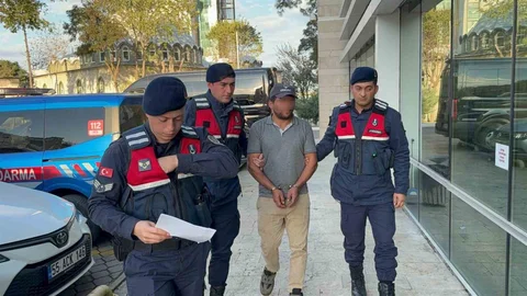 Samsun'da Ağaç Kesiminde Ölüm Olayı