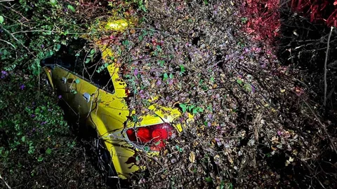 Mersin'de Ağaç Devrildi, Araç Zarar Gördü