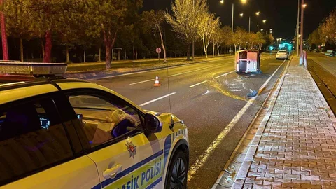 Kayseri'de Köpek Şoku Trafik Kazası