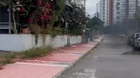 Jeneratör Alev Aldı!