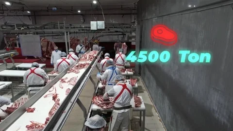 Elazığ'da Kırmızı Et Üretimi Artıyor