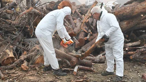 Manisa'da Budanan Ağaç Dalları İhtiyaç Sahiplerine Ulaşıyor