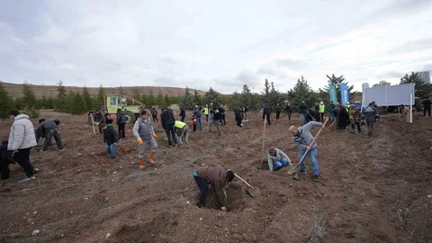 TUSAŞ Şehitleri İçin Fidan Dikimi Yapıldı