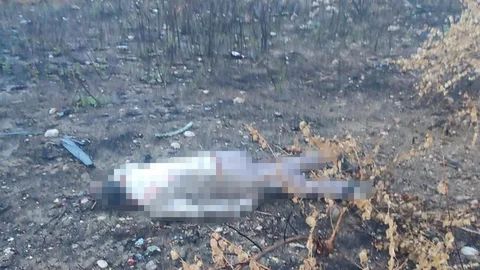 Mersin'de Viyadükten Düşen Sürücü Ölü Bulundu