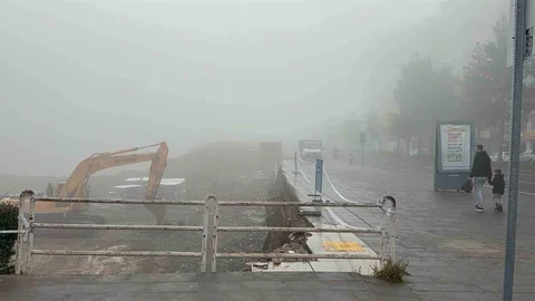 Diyarbakır'da Yoğun Sis Sorun Yarattı