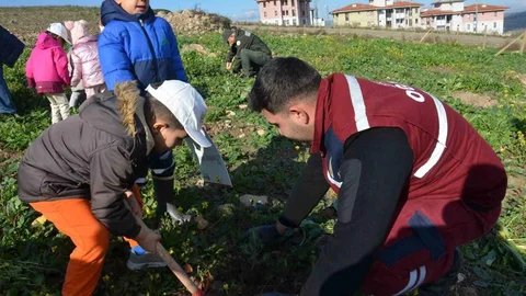Manisa'da 100 Bininci Fidan Dikildi