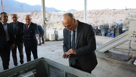 Sarıcakaya Zeytin Üretimi Gelişiyor