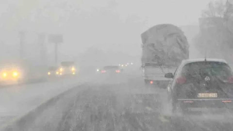 Tatvan'da Yoğun Kar Yağışı Etkili Oldu