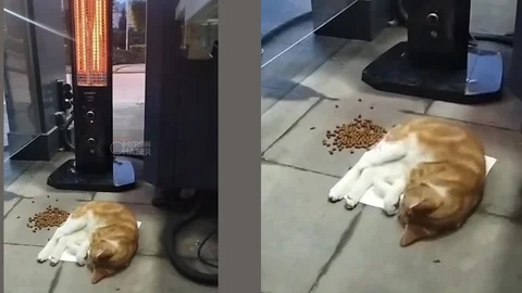 Soğukta Gelen Sıcak Hikaye: Sayapark Avm'nin Yeni Misafiri Ufo Önünde Keyif Çatıyor!