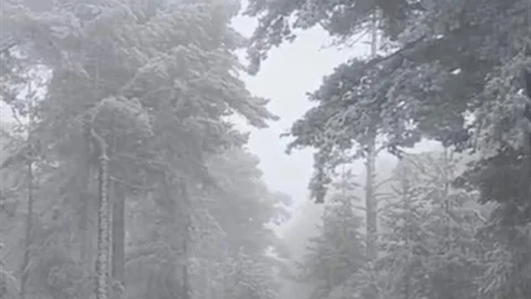 Eskişehir'de Mevsimin İlk Karı Yağdı