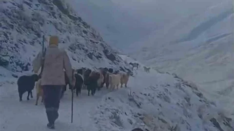 Ağrı'da Kar Yağışı Hayatı Olumsuz Etkiledi